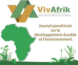 Actualité en Afrique : environnement, énergies renouvelables, climat