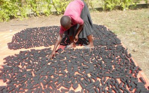 Prix de la jeune entreprise africaine Avec AEST, son entreprise sociale, l'Ougandaise Betty Ikalany propose des briquettes à base de peau arachide