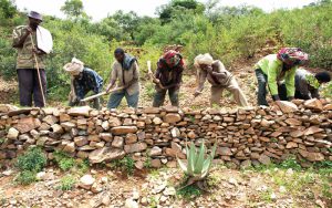 GreatGreenWall-May2-9_2016-flyer-final-Eng-print.pdf