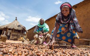 GreatGreenWall-May2-9_2016-flyer-final-Eng-print.pdf