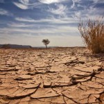Afrique sub-saharienne: La sécheresse fait baisser la croissance au plus bas