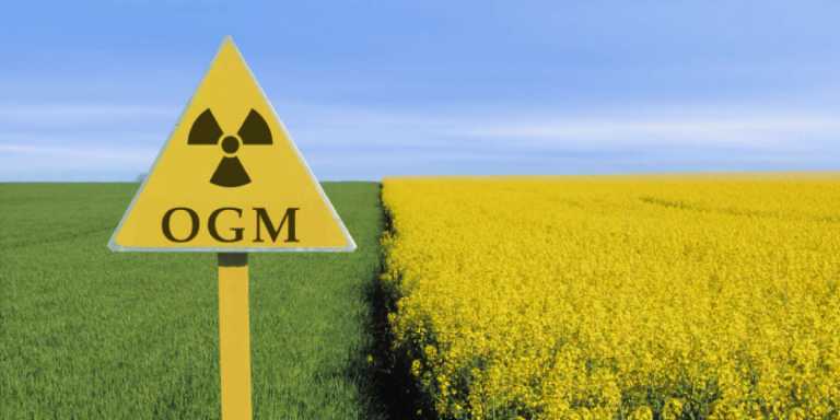 [Audio] – Biocarburant : Le Sénégal ne prend pas le risque d’une production bioénergétique basée sur les OGM