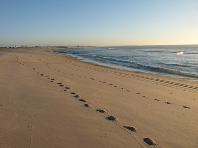 Mauritanie : 50 personnes affectées pour nettoyer les plages