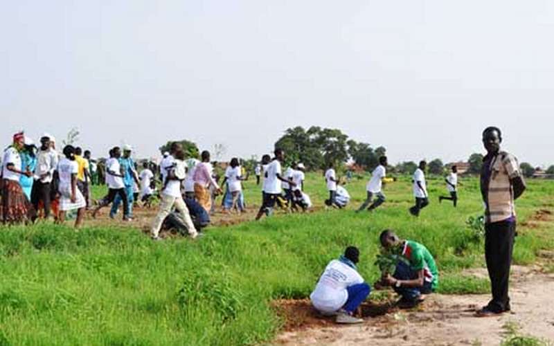 Burkina Faso : la Journée internationale de la jeunesse était l’occasion de planter 3000 arbres