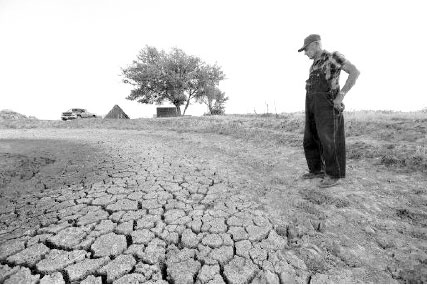 Afrique du Nord : L’agriculture menacée par une grave pénurie d’eau, l’Algérie plus touchée