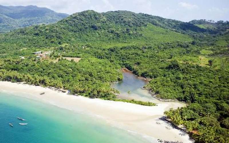 Lutte contre le changement climatique : une réaction tardive ?