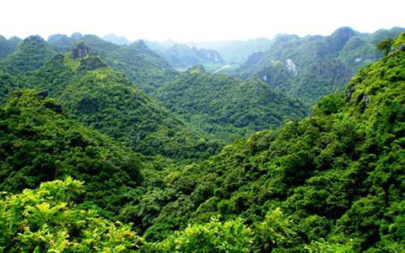 COP21 : La Côte d’Ivoire compte réduire entre 28% et 36% son émission de CO2 d’ici 2030