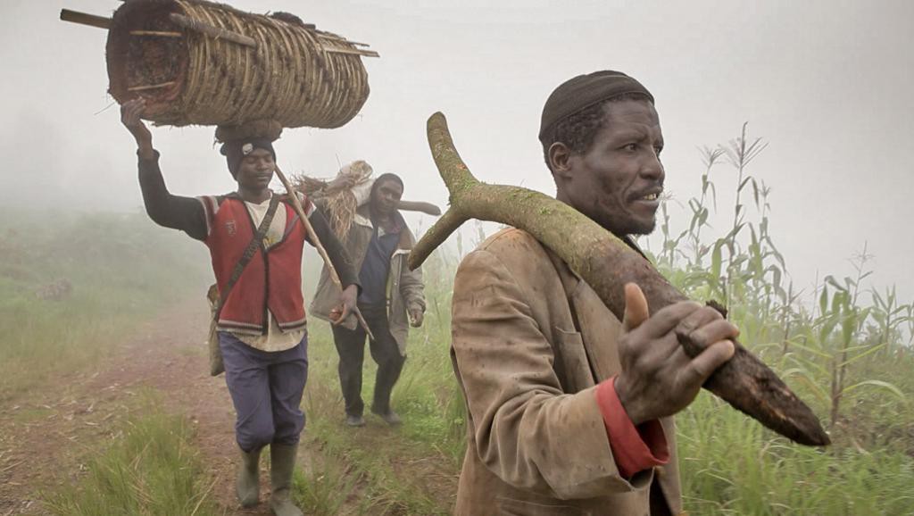 Cameroun: Des citoyens secondent l&rsquo;État pour la préservation de la biodiversité