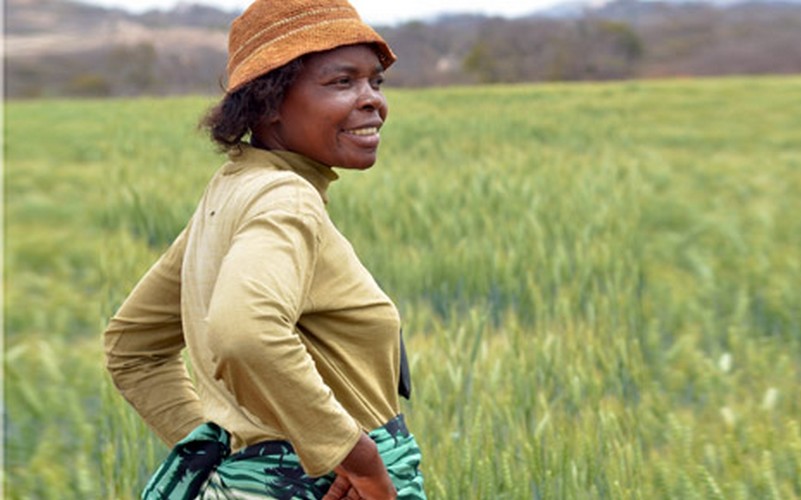 Les effets néfastes du changement climatique au Zimbabwe