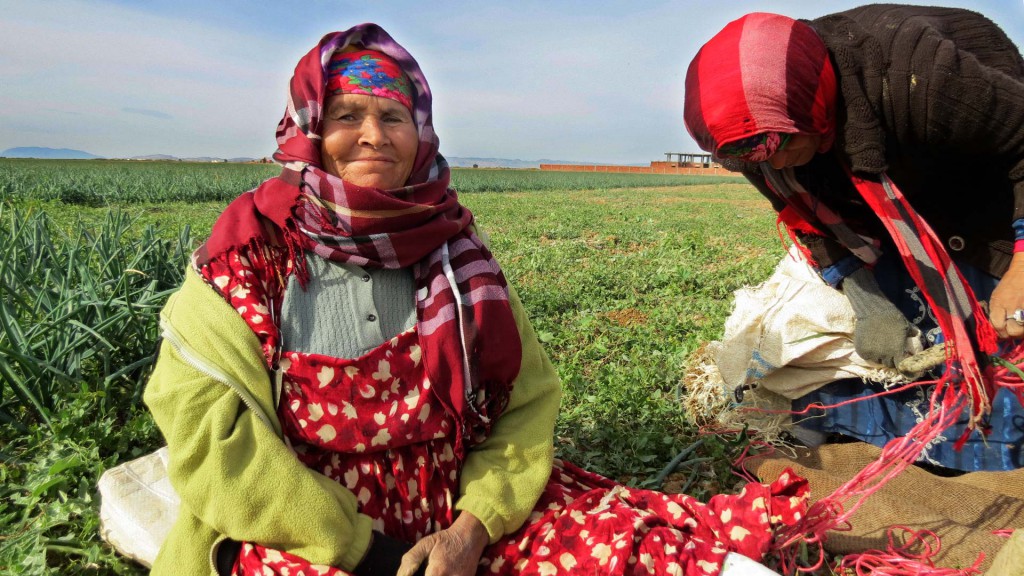 Tunisie : La dette de 54 000 agriculteurs et pêcheurs effacée