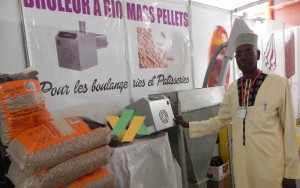 Abdoulaye Ndongo Biomasse à Pellets 2