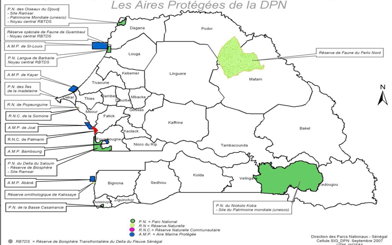 Aires protégées : Le braconnage, une problématique transfrontalière