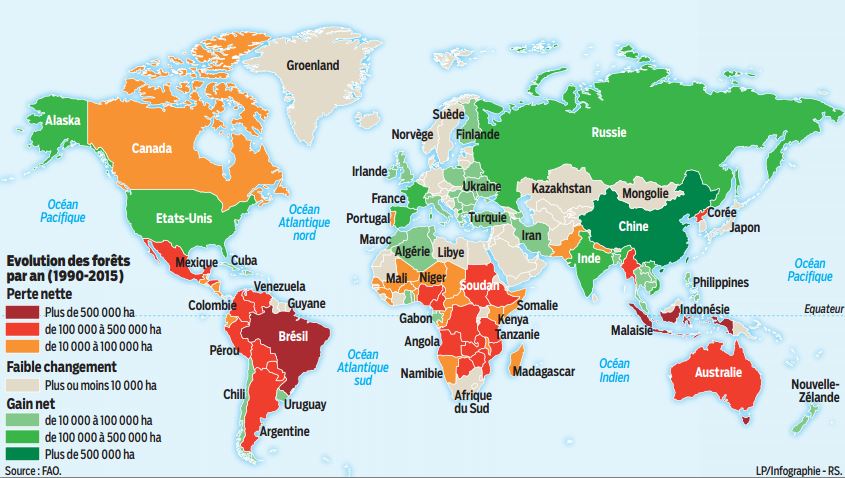 COP21: La lutte contre la déforestation mobilise les négociateurs