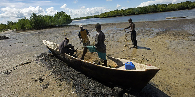 Kenya: Des pêcheurs viennent au secours de la mangrove