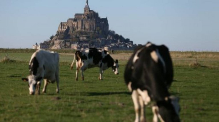 Climat : un projet français compte réduire de 15 à 30% les émissions de méthane des vaches roteuses pour lutter contre le réchauffement climatique