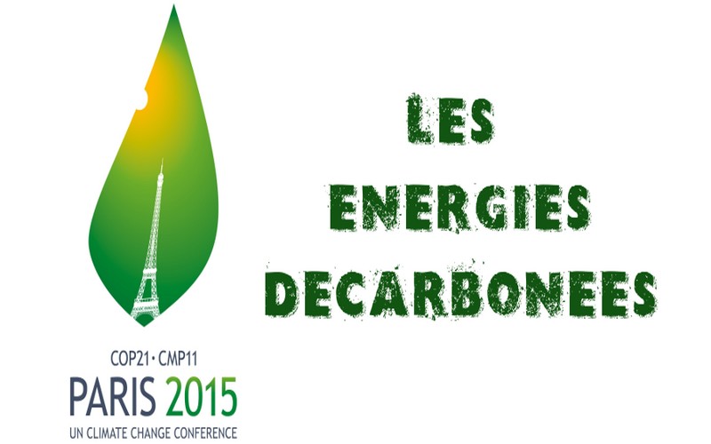 COP21 : La paille, le jatropha,… les sources de biocarburants made in Sénégal présentées au Bourget (Paris)