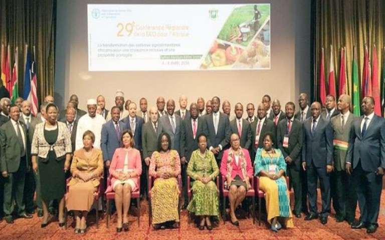 Une agriculture durable au menu de la table ronde des ministres africains