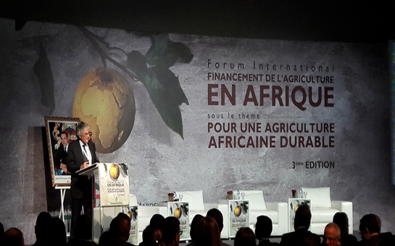Une agriculture africaine durable, le défi du Crédit agricole du Maroc