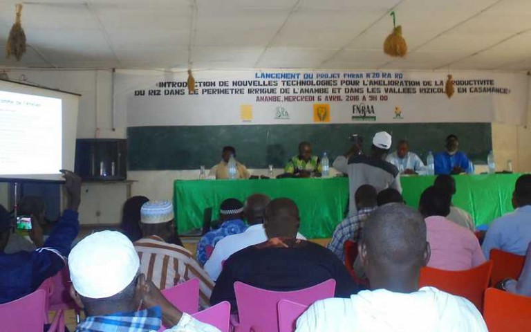 SENEGAL : La Casamance, à l’ère de l’introduction de nouvelles technologies dans la filière riz