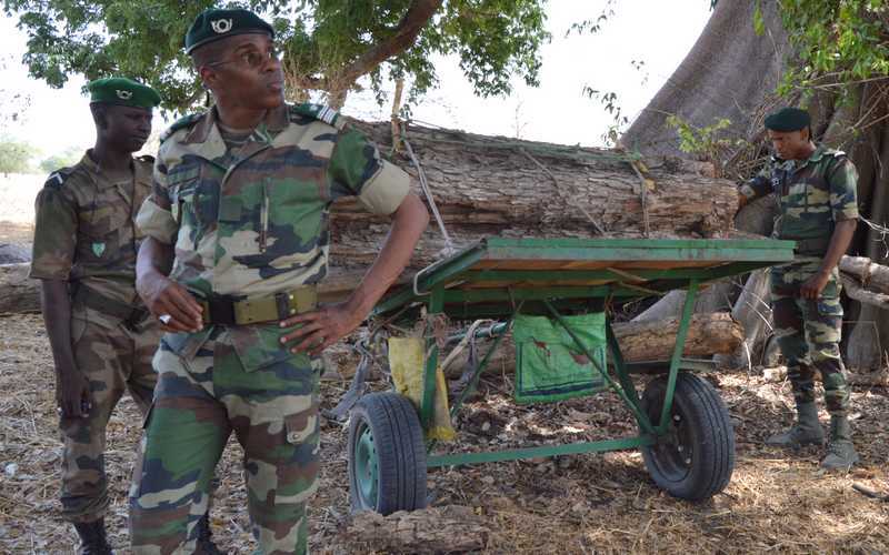 SENEGAL : Le Colonel Baïdy Ba prône  « une gestion durable » des forêts