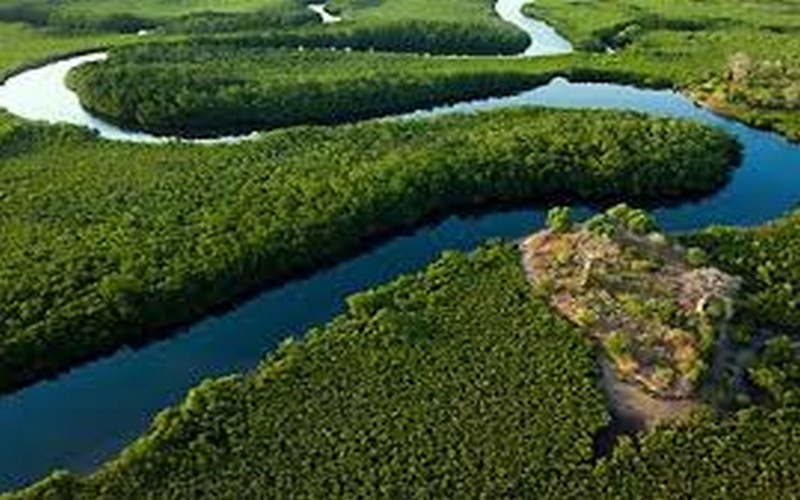 Le Sénégal perd des milliers d’hectares chaque année