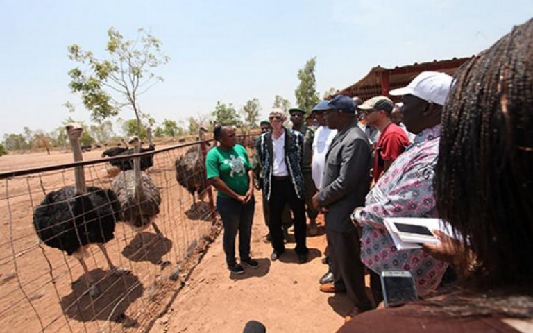 En visite au Mali, John Mutorwa s’imprègne du modèle d’agriculture et de l’élevage de ce pays