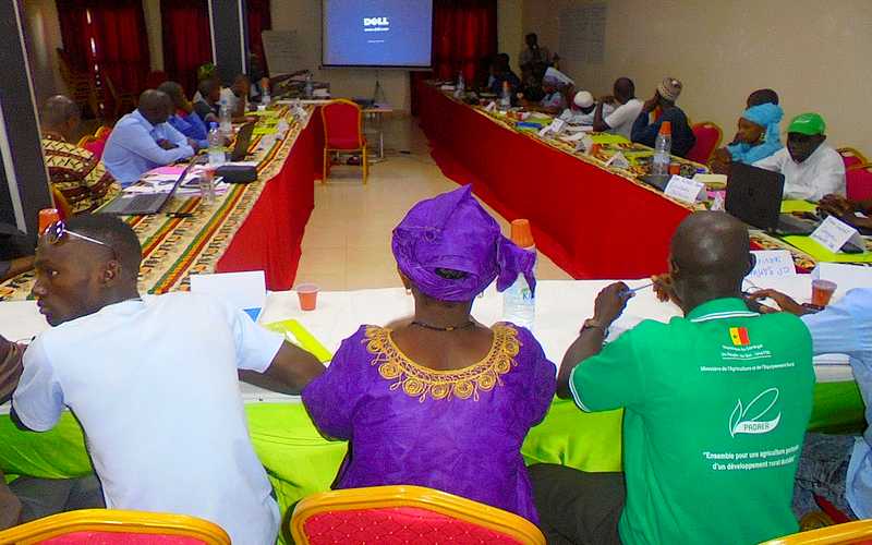 SENEGAL :Les producteurs du sud, à l’école de l’assurance indicielle grâce au PADAER