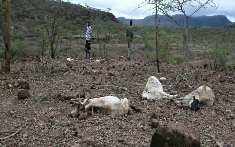L’Ethiopie affronte la pire sécheresse en trente ans