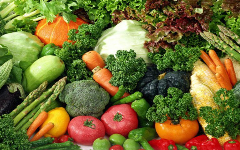 Le Sénégal participera à l’exposition horticole d’Antalya 2016 en Turquie