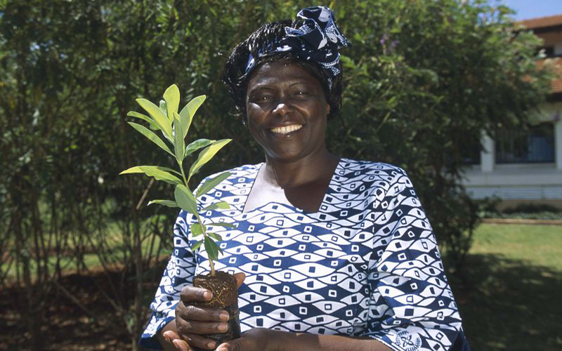 Wangari Maathai : La liste des priorités pour le prix sera connue en fin mai