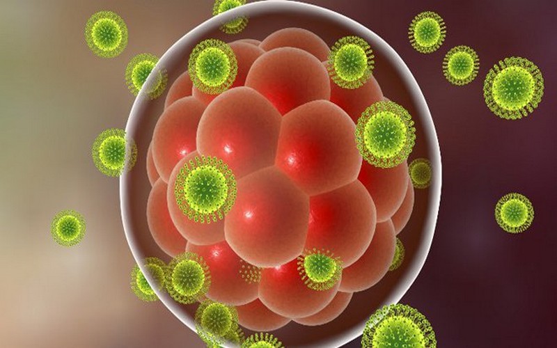 Changement climatique, vecteur du virus Zika