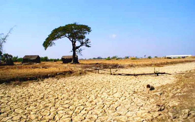 La FAO tient la deuxième semaine surveillance des zones arides du 26 au 29 avril
