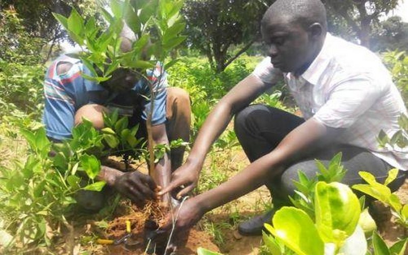 Faute d’être servis à temps, les agriculteurs ougandais tournent leur dos aux intrants agricoles