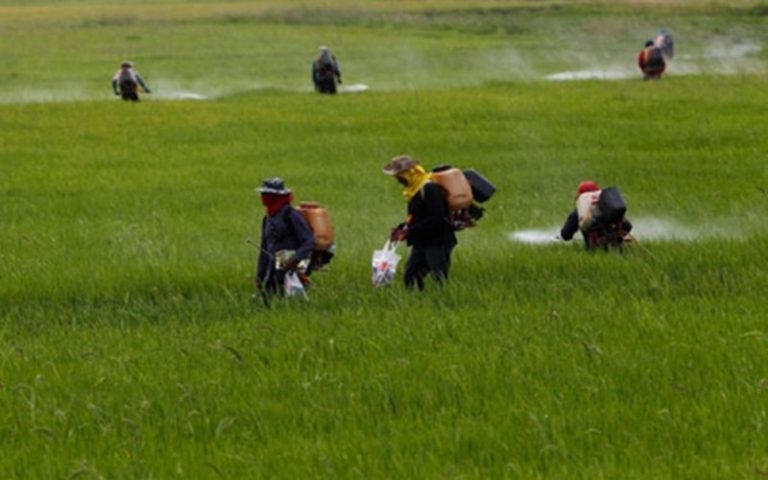 Vers un retour à une agro-écologie en Afrique