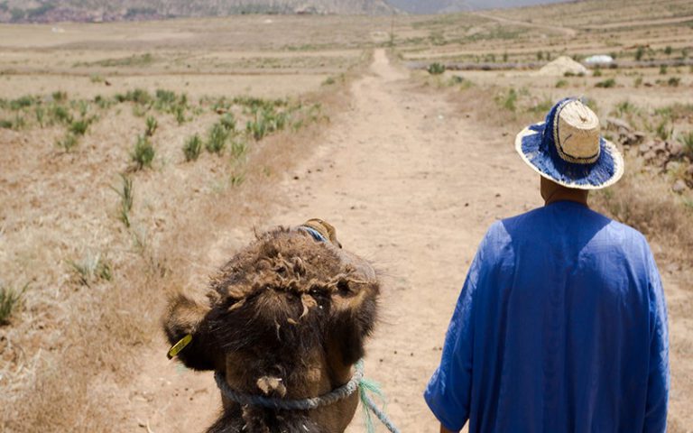 Une mue écologique marocaine est-elle possible avec la COP22 ?