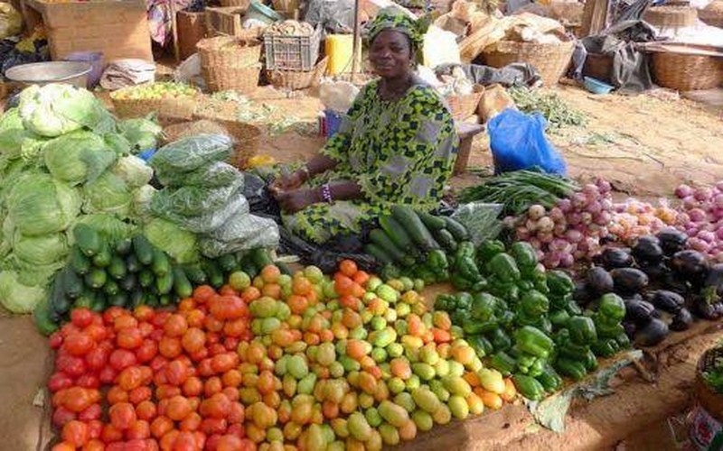 L’Afrique subsaharienne n’est pas suffisamment armée pour atteindre l’objectif zéro faim en 2030, selon l’IFPRI