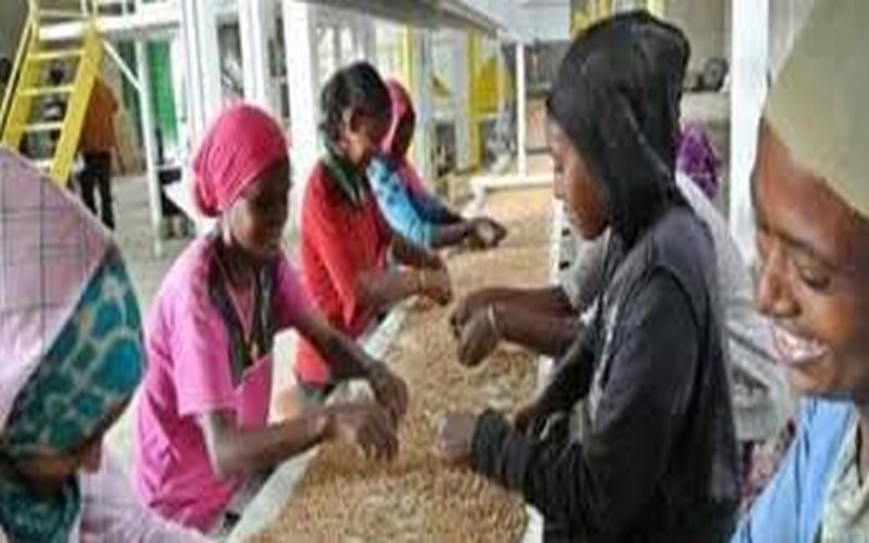 Vers la construction de 4 parcs agro-industriels en Ethiopie