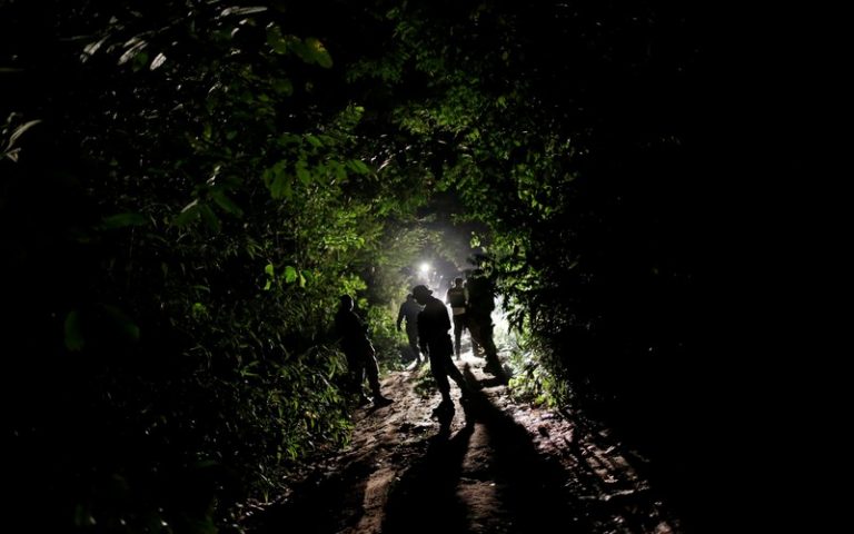La déforestation bat son plein dans la forêt de l’Amazonie avec 451 millions d’arbres coupés