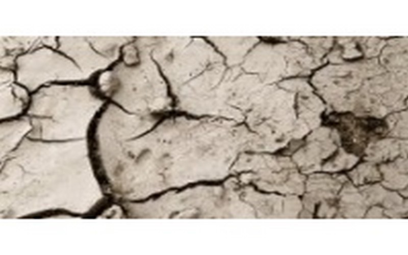 Hanté par le manque de pluies, l’Afrique de l’Est croule sous le poids de la soif