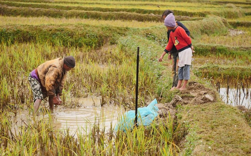 Madagascar : La BAD injecte 11,23 millions USD pour l’énergie, l’agriculture,…