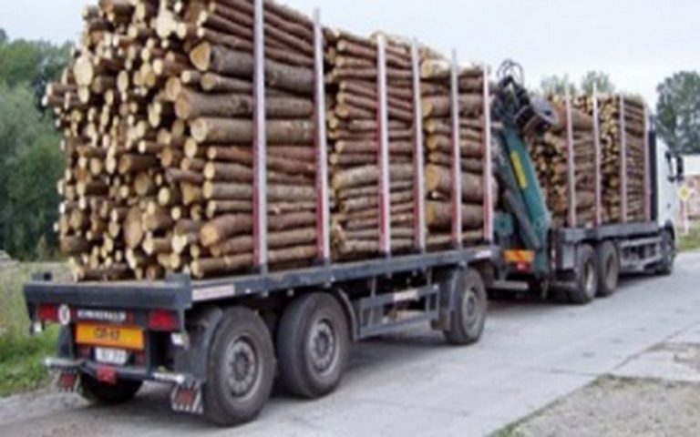 Le Sénégal et la Gambie s’unissent contre le trafic de bois