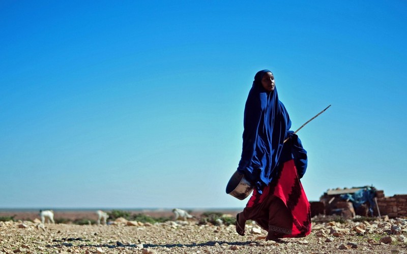 La famine pourrait s’ajouter aux « souffrances humanitaires » des somaliens à cause de la sécheresse, selon OCHA