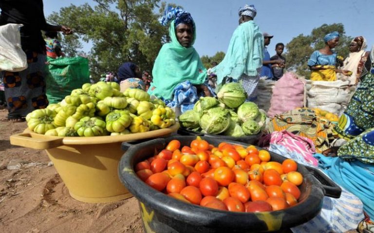 Le Sénégal esquisse des normes spécifiques pour assurer la sécurité alimentaire