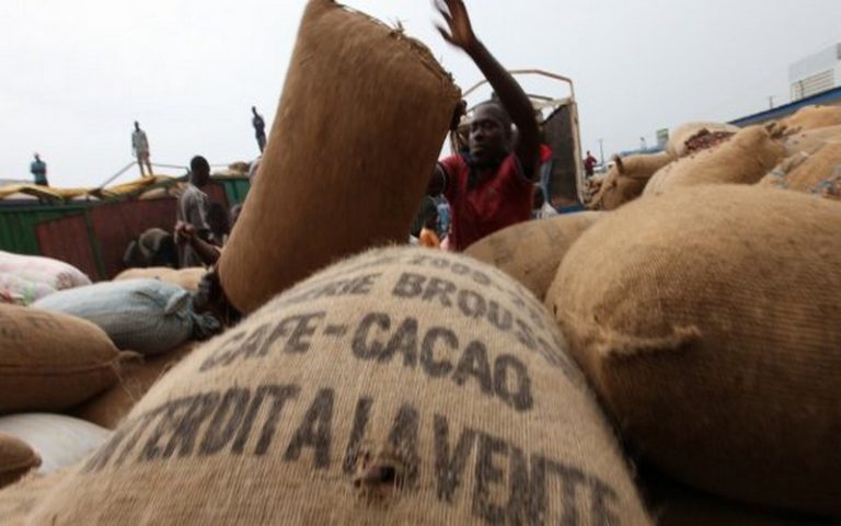 Le Togo déterminé à booster sa production de café et cacao
