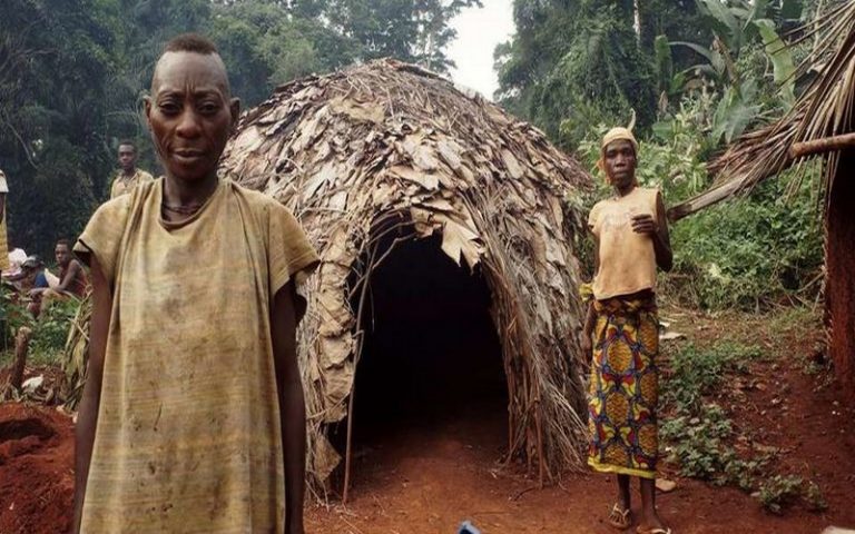 « Violation des droits de l’homme » au Cameroun : WWF sur le banc des accusés