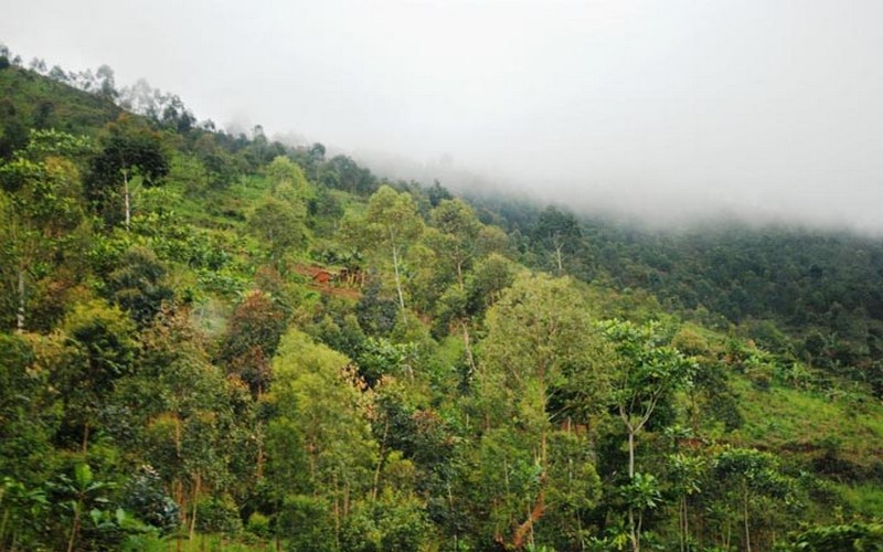 Face à la menace des réserves naturelles de Makamba, les environnementalistes lancent un cri d’alarme