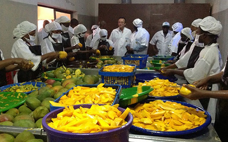 Une centaine de femmes sénégalaises à l’école des techniques de transformation des produits locaux