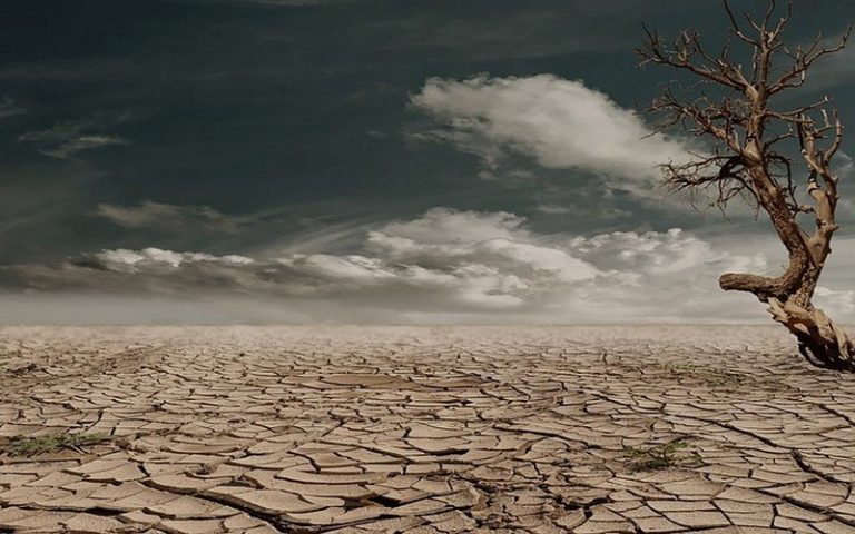 La FAO indique que la sécheresse s’est aggravée dans la Corne de l’Afrique et menace des millions de personnes