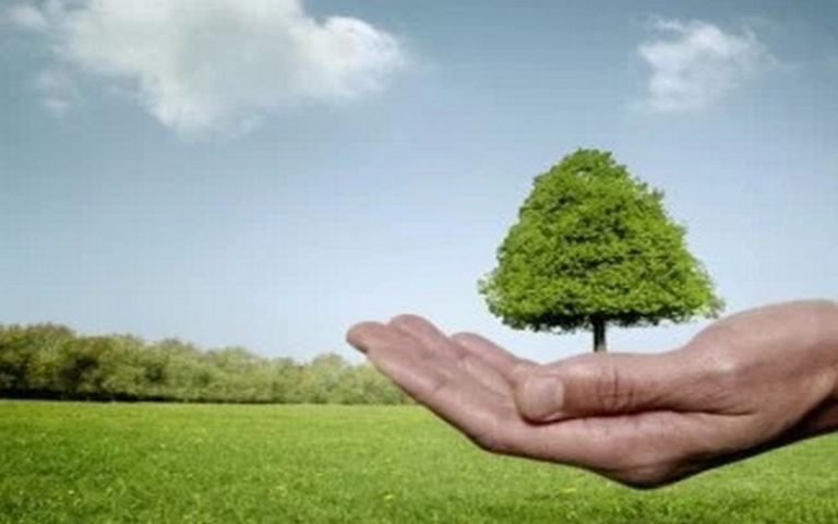 Les journées de l’éco-construction et de l’économie d’énergie des bâtiments : la norme de la protection de l’environnement à l’honneur en Tunisie