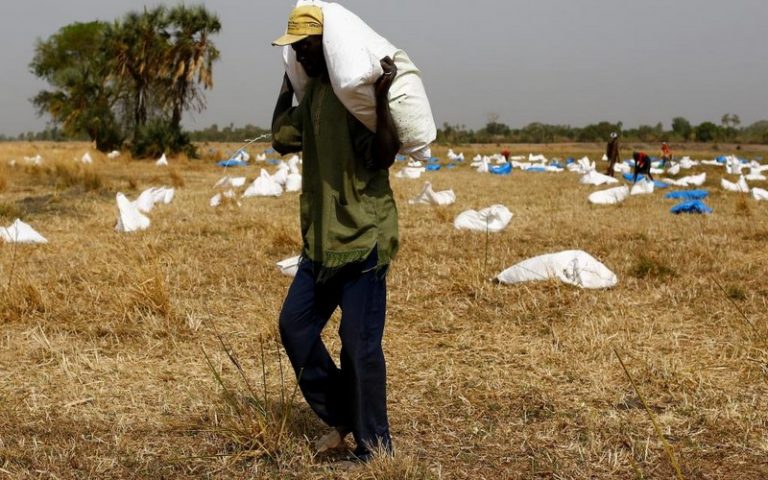 Pour endiguer la famine en Afrique, il urge de revoir les échanges alimentaires